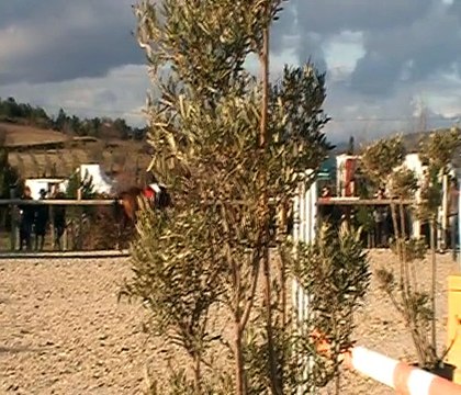 Déborah et Nikita de la Née, Lézi Jump 4, 9 février 2015, Club 1