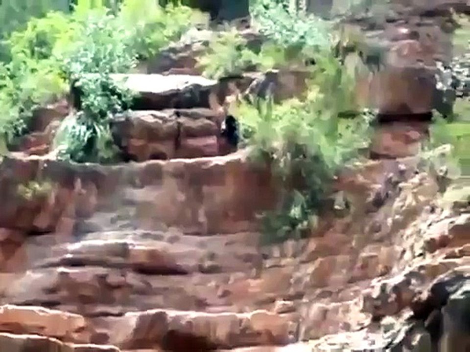 Il ne faut jamais hésiter avant de faire le grand saut