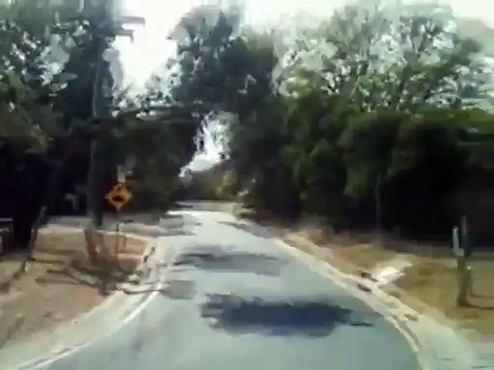 Des jeunes font les cons avec leur skateboard