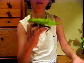 L'enfant et l'énorme insecte non-identifié