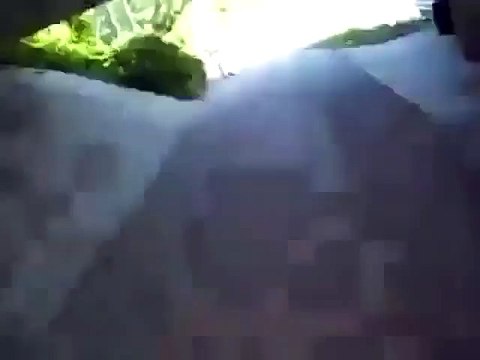 Le mec bourré qui tombe dans les buissons