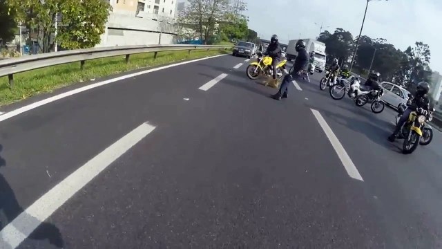 Un chien sauvé par un groupe de motards