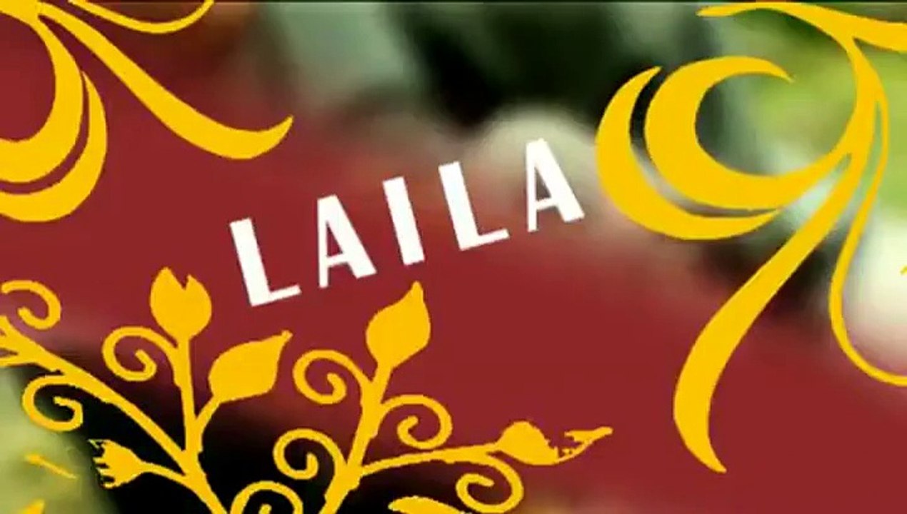 Un petit félin tout mignon filmé dans un zoo