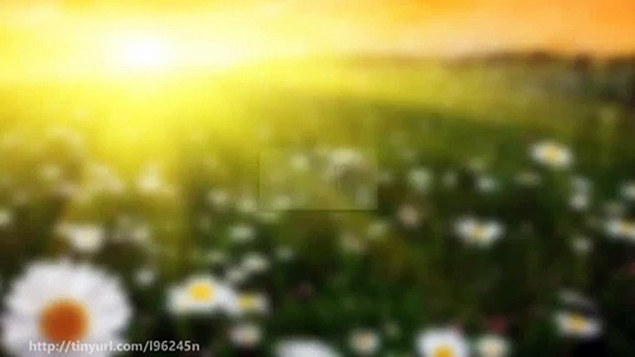 How To Increase Your Profits The Simple Way With Binary Options Signals