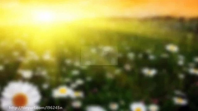 How To Increase Your Profits The Simple Way With Binary Options Signals