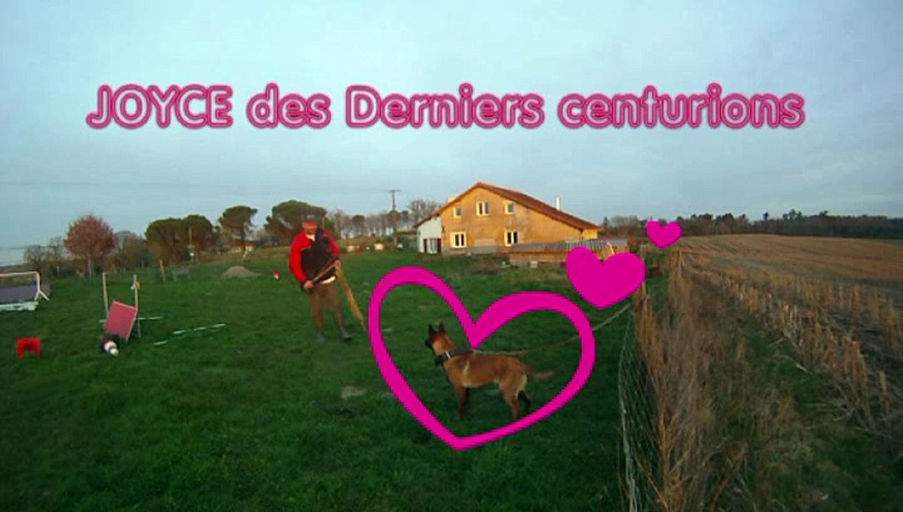 JOYCE DES DERNIERS CENTURIONS à 5 mois