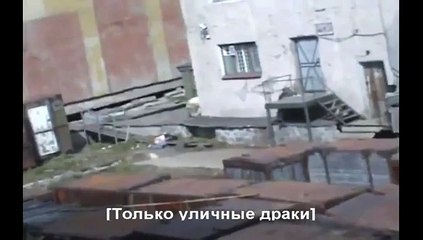 Un soigneur se fait attaquer par un ours blanc