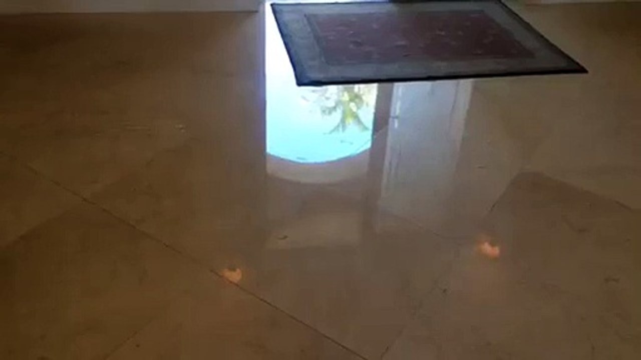 marble polishing surfside