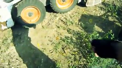 Bref, j'ai joué à Call of Duty un dimanche