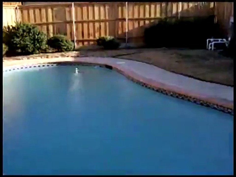 Un saut de piscine presque réussit...