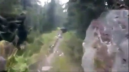 Un coureur se fait pister par un ours dans les bois