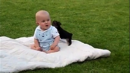 Un chiot joue avec un bébé. Trop mignon...