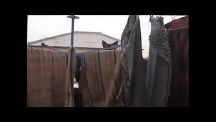 Un chat qui rate son envolée. Aïe...