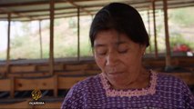Guatemala women use worms to combat poverty