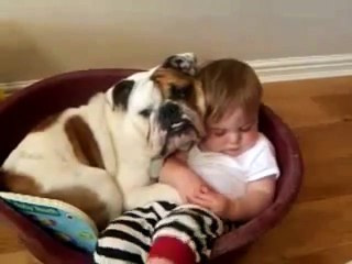 Un petit garçon s'endort dans le panier du chien