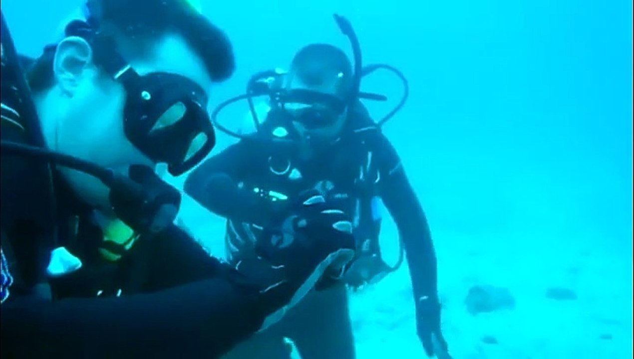 Une expérience ratée à cause d'un poisson