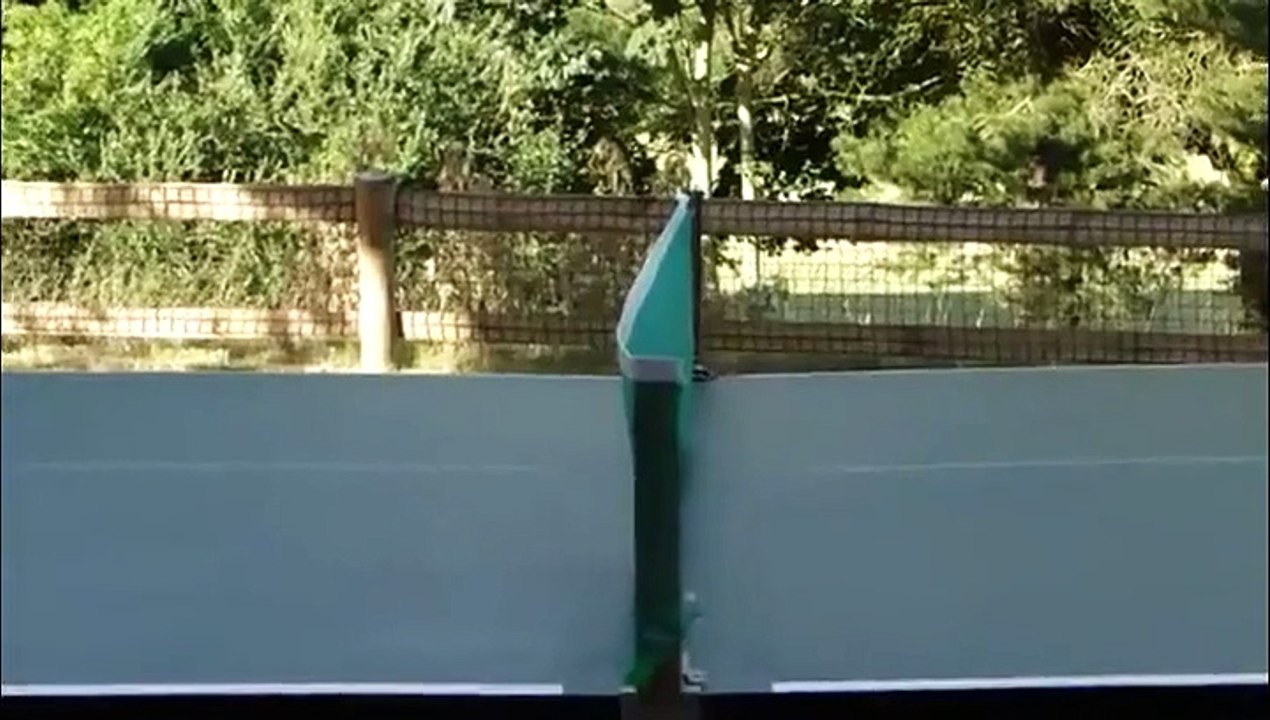 Un fan de ping-pong observe la balle