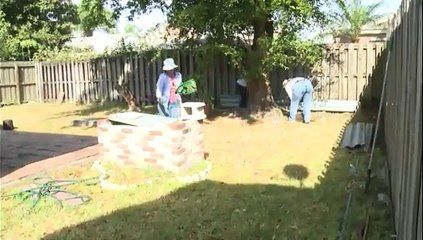 Des escargots géants envahissent Miami