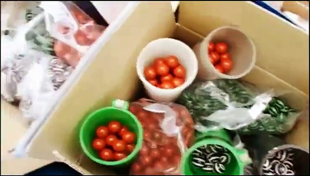 Un tableau fait avec des pistolets de paintball