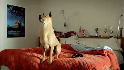 La nouvelle pub délirante d'Electrabel