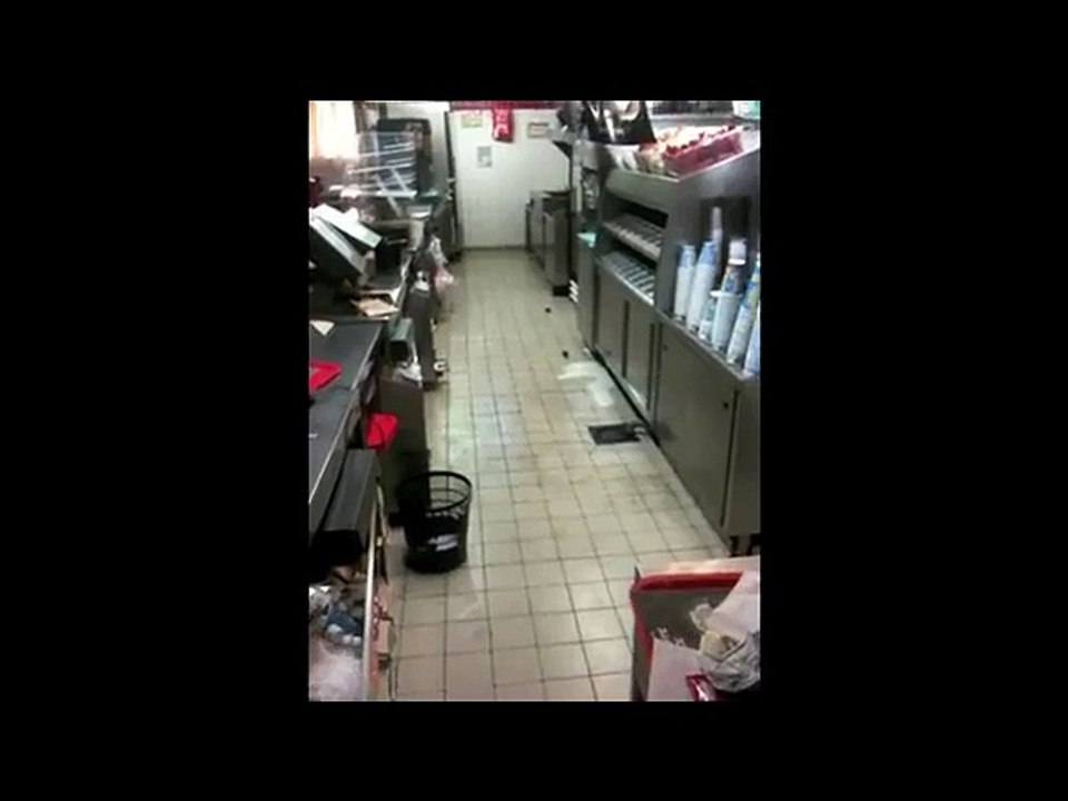 Des souris se promène dans un restaurant Quick