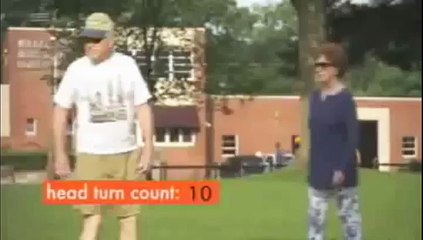 Comment promener son chien de façon originale