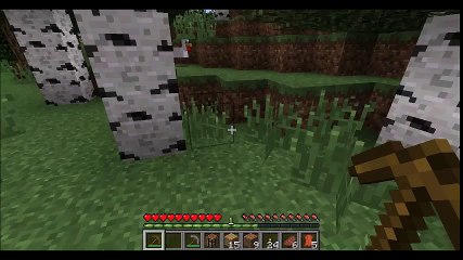 Minecraft Exploration