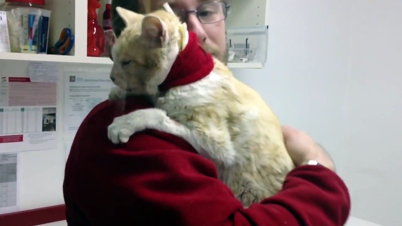 MR white cuddles