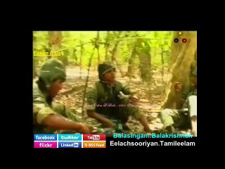 Em Kaaval Araiyil Kaaththiruntaal - Tamil Eelam Yaal Nallur B.Bala - 87280 Limoges, France