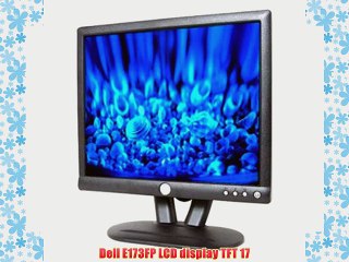 Dell E173FP LCD display TFT 17