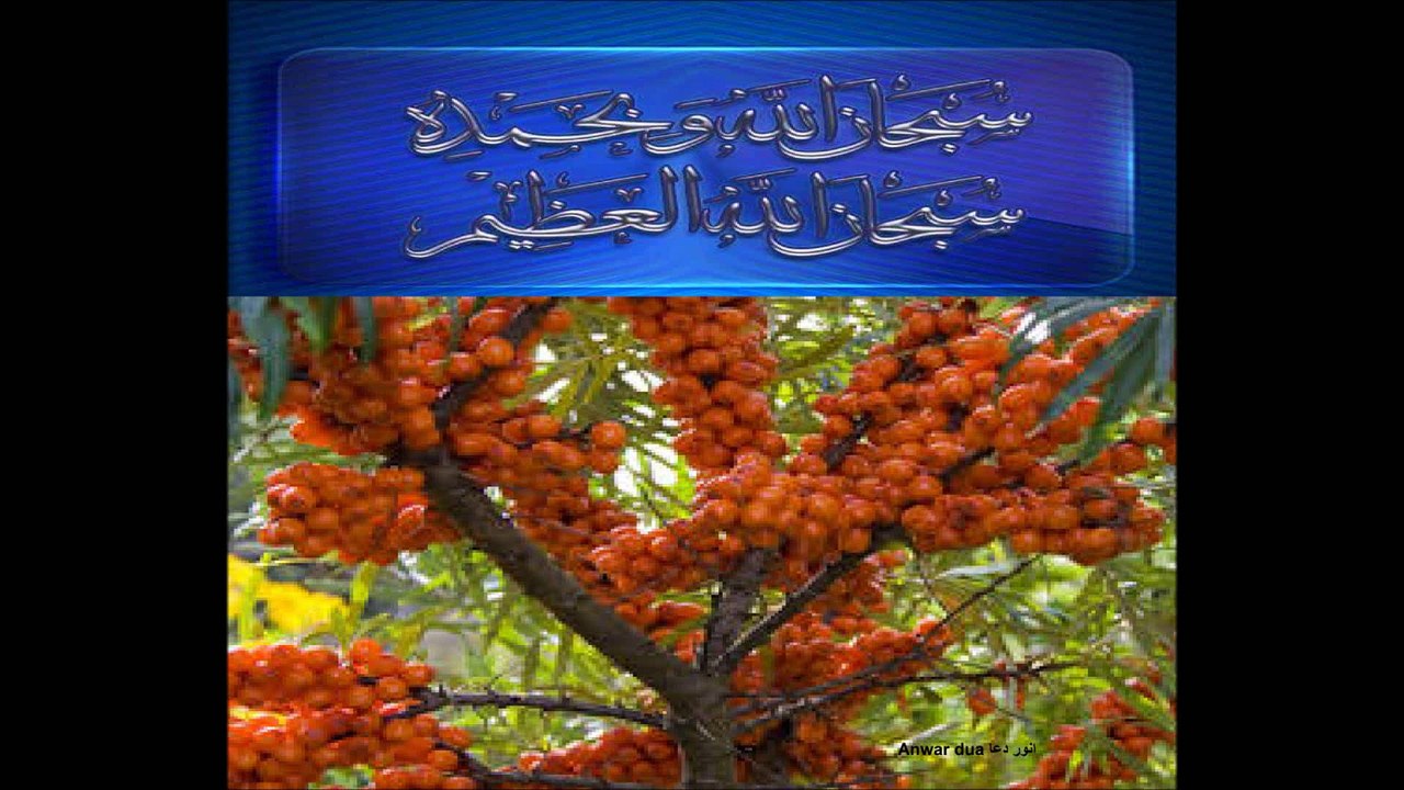SURAT AL BUROOJ