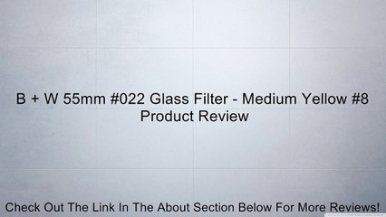 B + W 55mm #022 Glass Filter - Medium Yellow #8 Review