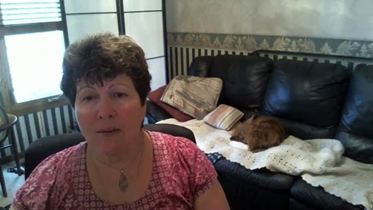 Google Sniper Review