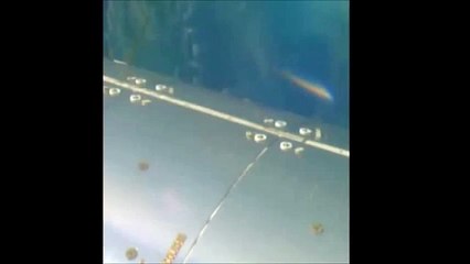 Large Object Approaching the ISS