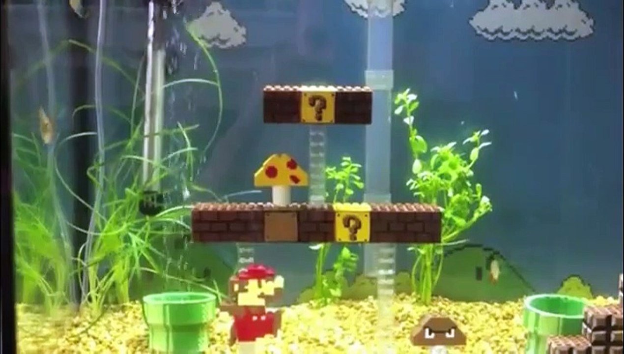 Mario Bross Représenté en aquarium...