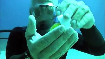 Casser un œuf sous l'eau est très étrange