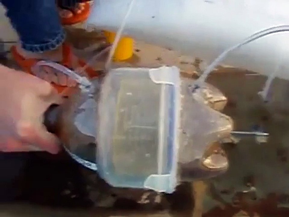 Comment réaliser un sous-marin pour votre hamster