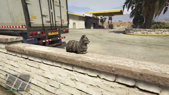 Faire peur à un chat dans GTA V