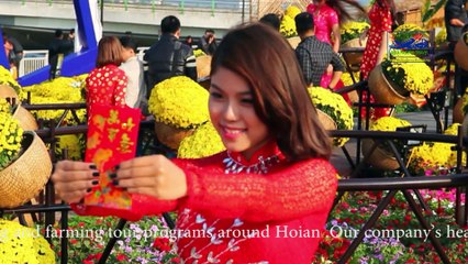 Da Nang City happy lunar new year 2015