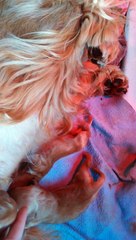 Tournée générale!