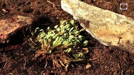 Three minutes that might change how you view the purpose of your life : Existential Bummer