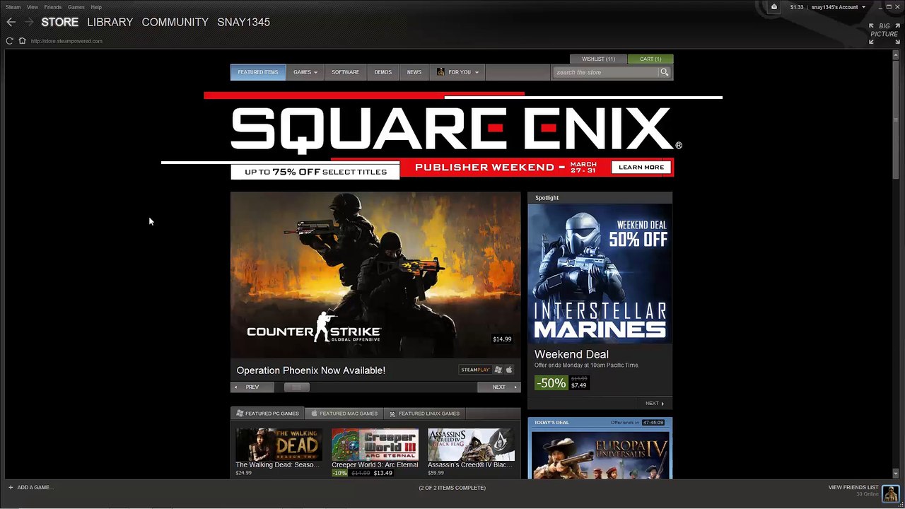 Please Fix This Steam