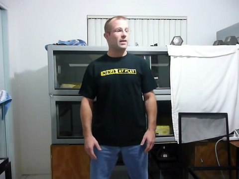 Albino Green Burmese Python