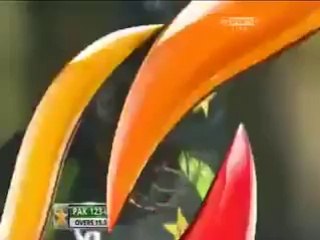 Shahid Afridi 400th SIX