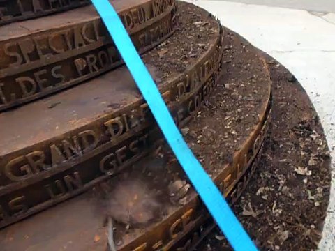 Neuville-Saint-Vaast : une sculpture évoquant 14-18 sortie de l'oubli