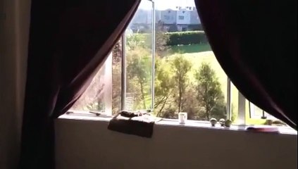 Voilà comment on fait pour crammer sa maison !