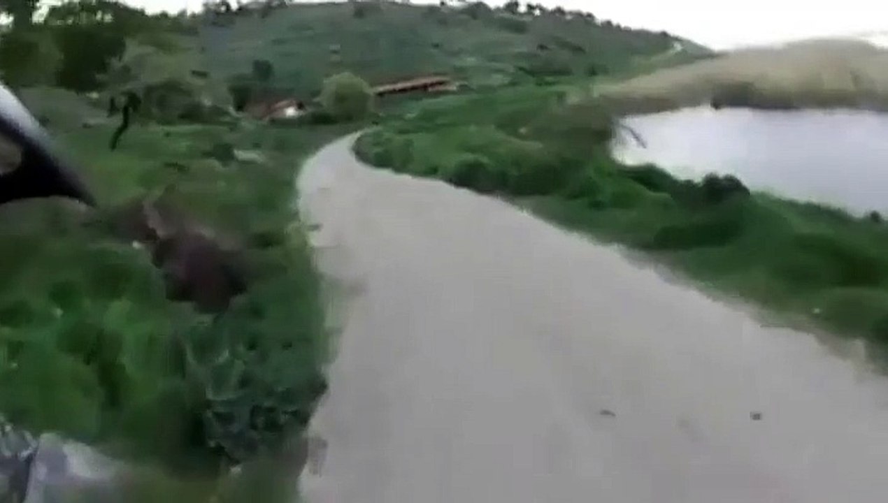 Un cycliste seul face à une meute de chien ...