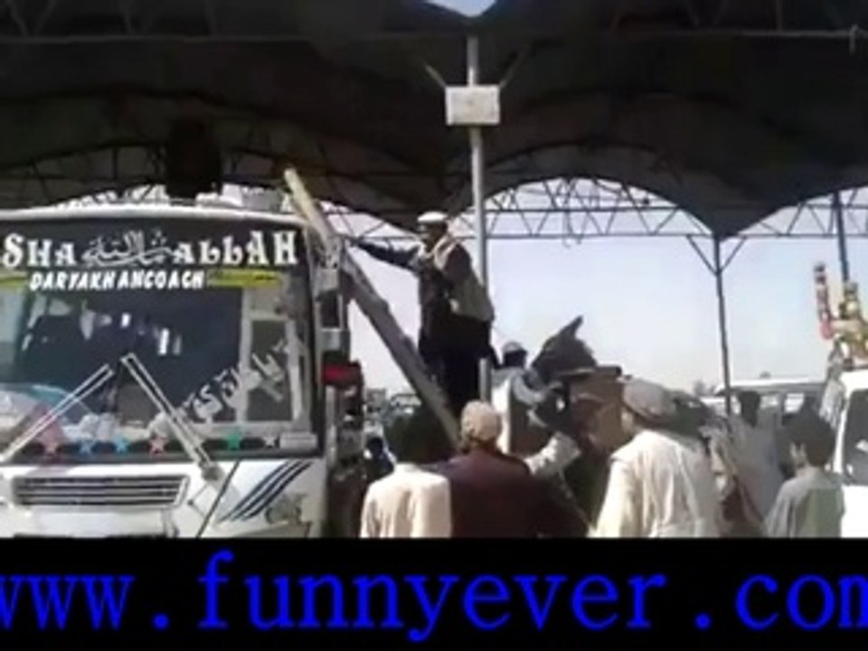 costly donkey in the world