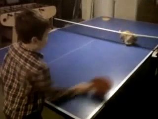 Un chat fait du ping pong avec brio !