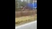 Train and truck collision in North Carolina caught on camera
